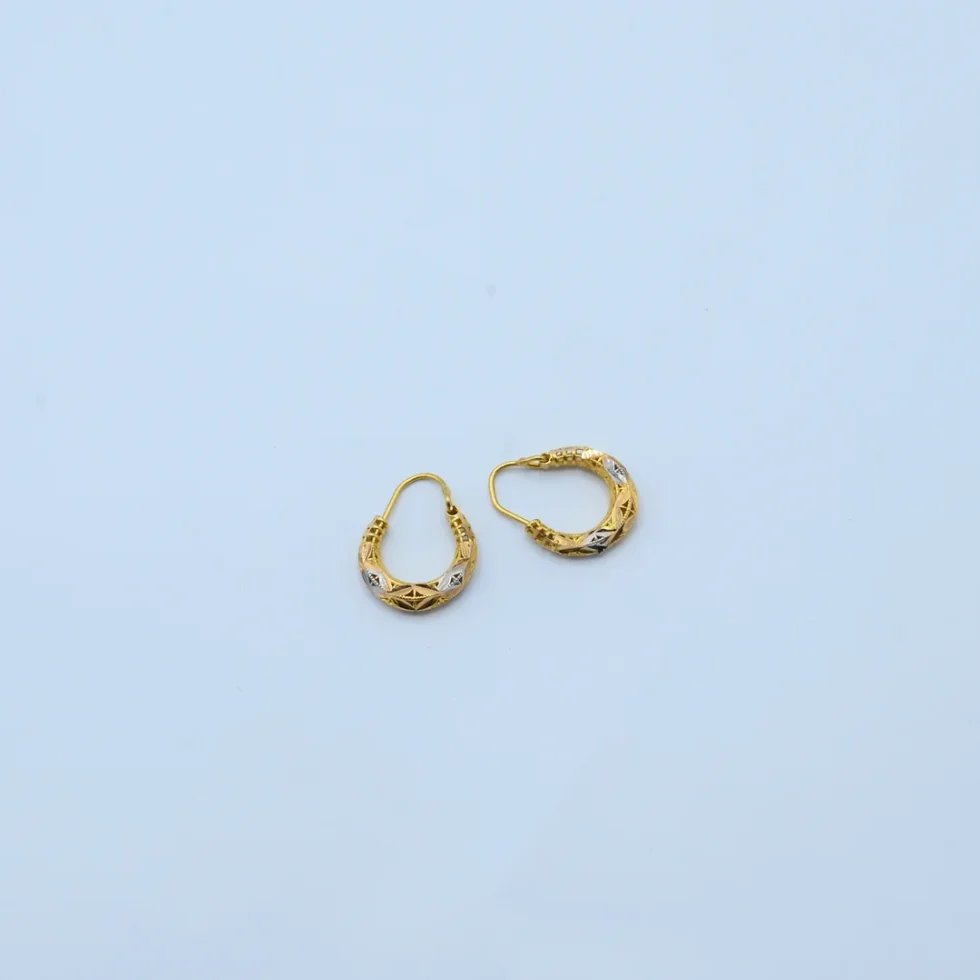Gold Two-Tone Diamond Cut Gold Hoops